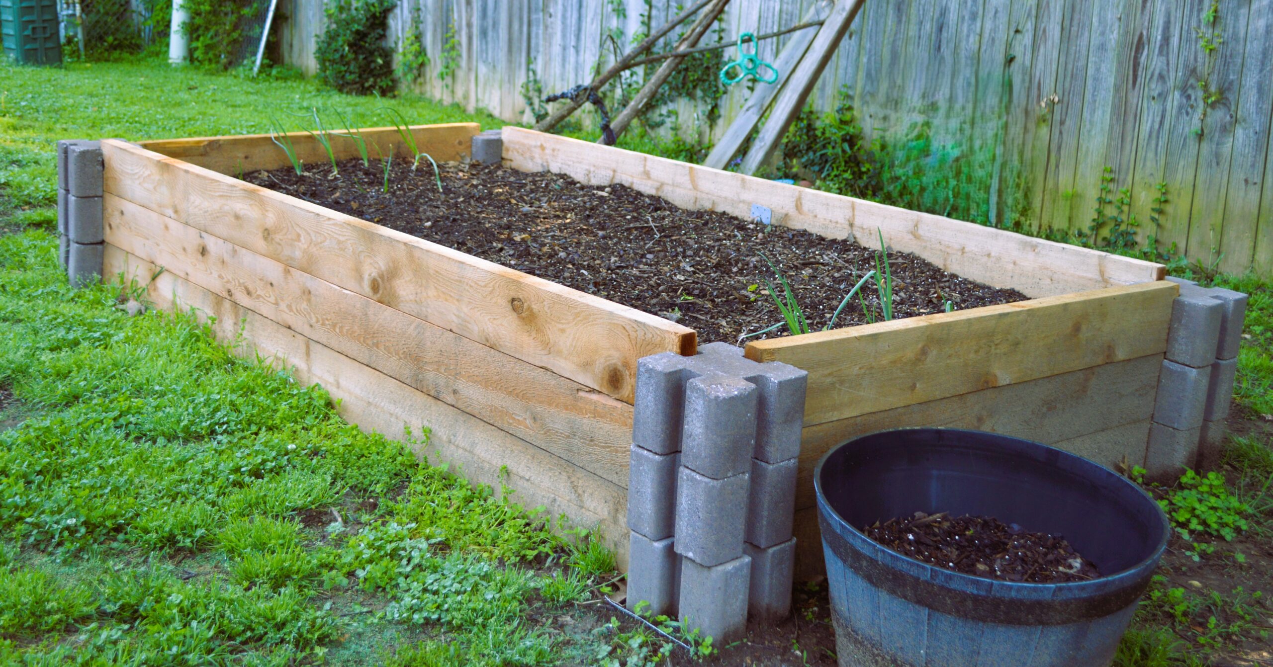 Raised Garden